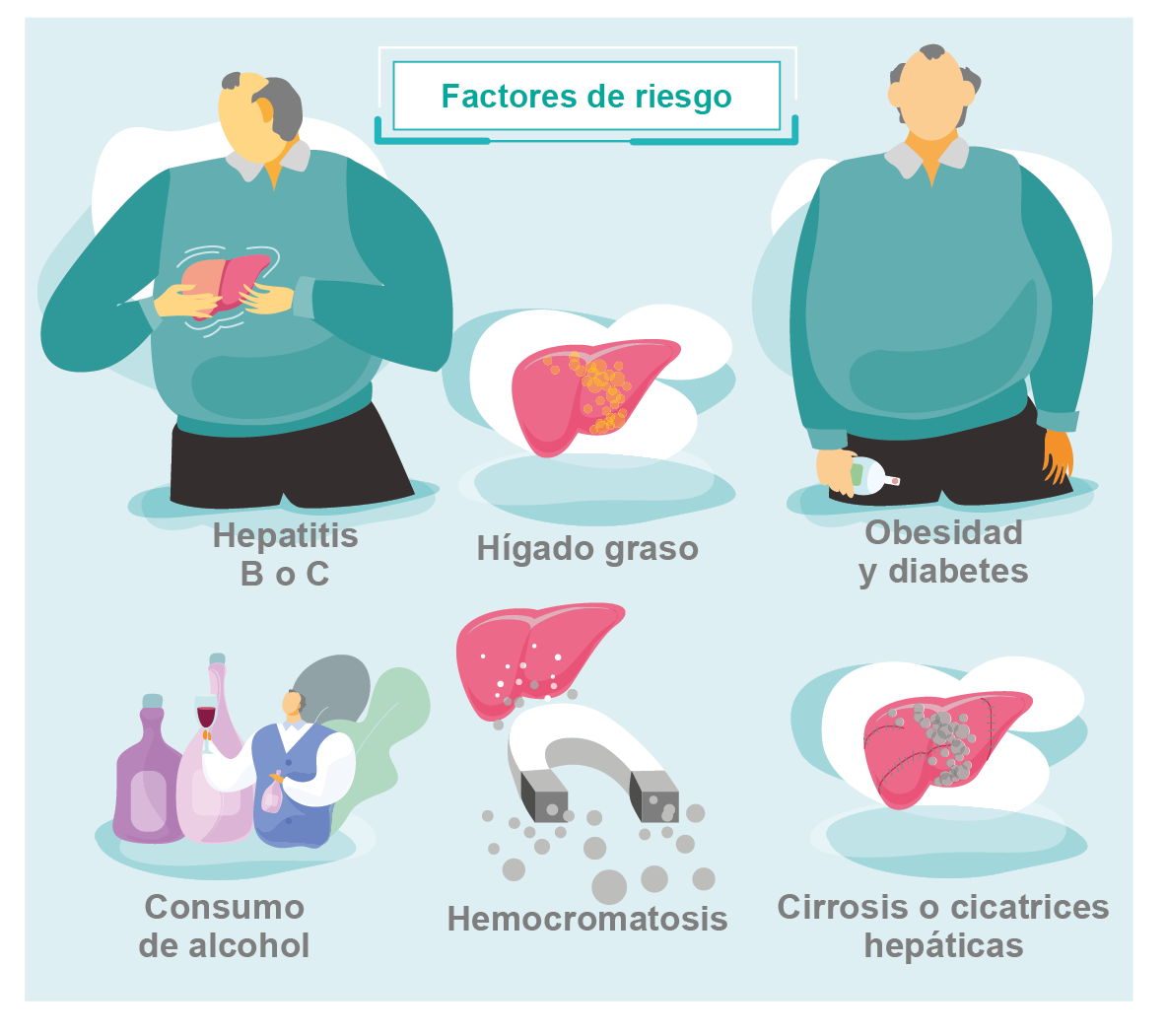 Cáncer de Hígado Qué es Roche Pacientes